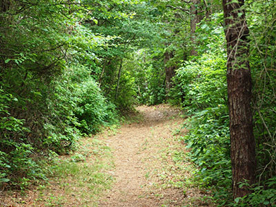 high-wood village in New Seabury