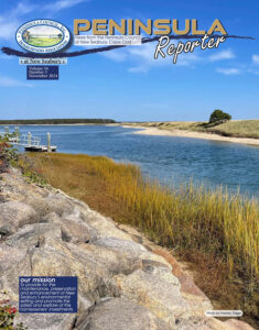 New Seabury Homeowners Nov Newsletter